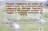 Dipartimento di Matematica & Fisica, Università Cattolica del S.C. di Brescia Flussi stomatici di ozono ed esposizione in relazione alla comparsa di sintomi.