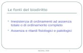 BioDiritto, 2008 1 Le fonti del biodiritto Inesistenza di ordinamenti ad assenza totale o di ordinamento completo Assenza e ritardi fisiologici e patologici.