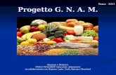 Progetto G. N. A. M. Ideatore e Relatore: PAOLO MALGIERI (educatore alimentare) in collaborazione con Regione Lazio, Ciofs, Spicap e Slowfood Roma 2011.