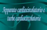 Sistema cardiocircolatorio Cuore Cuore Organo cavo, che sotto limpulso di un muscolo (miocardio) compie delle contrazioni che pompano il sangue nei vasi.
