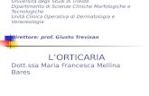 Università degli Studi di Trieste Dipartimento di Scienze Cliniche Morfologiche e Tecnologiche Unità Clinica Operativa di Dermatologia e Venereologia Direttore: