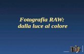 Fotografia RAW: dalla luce al colore. Fotografia RAW E la registrazione dellimmagine catturata in un formato contenente: le informazioni non processate.