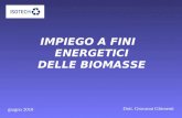 IMPIEGO A FINI ENERGETICI DELLE BIOMASSE Dott. Giovanni Ghimenti giugno 2010.