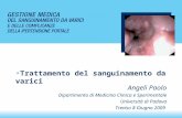 Angeli Paolo Dipartimento di Medicina Clinica e Sperimentale Università di Padova Treviso 8 Giugno 2009 Trattamento del sanguinamento da varici.