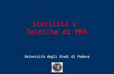 Sterilità e Tecniche di PMA Università degli Studi di Padova.