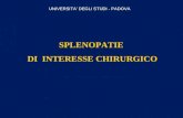SPLENOPATIE DI INTERESSE CHIRURGICO UNIVERSITA DEGLI STUDI - PADOVA.