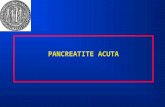 PANCREATITE ACUTA. Definizione Con il termine pancreatite acuta si definisce un processo flogistico insorto acutamente interessante il pancreas ed in.