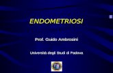 ENDOMETRIOSI Prof. Guido Ambrosini Università degli Studi di Padova.
