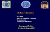P. Angeli Dip. Di Medicina Clinica e Sperimentale Università of Padova Il dolore toracico Emergenze Mediche Treviso 19 Maggio 2009.