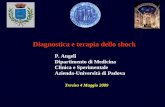 P. Angeli Dipartimento di Medicina Clinica e Sperimentale Azienda-Università di Padova Diagnostica e terapia dello shock Treviso 4 Maggio 2009.