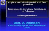 Dott. A. Andrisani Clinica Ginecologica e della Riproduzione Umana La placenta e la fisiologia dellunità feto- placentare Ipertensione in gravidanza, Preeclampsia.