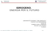 UNIVERSITA DI ROMA TOR VERGATA FACOLTA DI INGEGNERIA Corso: CHIMICA PER LENERGIA – Laurea: INGEGNERIA PER LAMBIENTE E IL TERRITORIO – A.A. : 2003/2004.