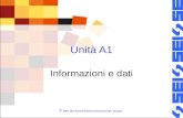 © 2007 SEI-Società Editrice Internazionale, Apogeo Unità A1 Informazioni e dati.