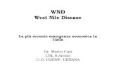 WND West Nile Disease La più recente emergenza zoonosica in Italia Dr. Marco Casi USL 8 Arezzo U.O. IGIENE URBANA.
