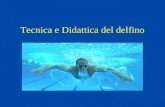 Tecnica e Didattica del delfino. Storia Il delfino nasce dalla rana Rana 1953 Farfalla 1960 Delfino Mike Troy 2.12.8/200 metri Il delfino in apnea Record.
