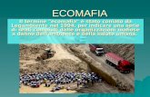 ECOMAFIA Il termine "ecomafia" è stato coniato da Legambiente nel 1994, per indicare una serie di reati compiuti dalle organizzazioni mafiose a danno dell'ambiente.