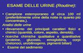 ESAME DELLE URINE (Routine): Campione estemporaneo di circa 100 ml (preferibilmente urine della notte in quanto più concentrate,). Analisi delle urine.