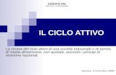 Genova, 4 novembre 2008 IL CICLO ATTIVO La review del ciclo attivo di una società industriale o di servizi, di media dimensione, non quotata, secondo i.