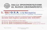 IPSIA B. Pinchetti"Relazione inizio a.s. 2009-10 Enrico Cinalli 1 DALLA SPERIMENTAZIONE AL NUOVO ORDINAMENTO 1. GLI O.S.A. e la Normativa (sito: .