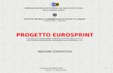 Progetto EUROSPRINT Udine, 17 aprile 2008 1 DIREZIONE CENTRALE ISTRUZIONE, CULTURA, SPORT E PACE Servizio attività culturali ISTITUTO TECNICO COMMERCIALE.