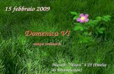 15 febbraio 2009 Domenica VI tempo ordinario Domenica VI tempo ordinario Musica: Alzati 425 (Paulus de Mendelsshon)