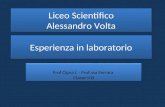 Esperienza in laboratorio Prof Cigna I. - Prof.ssa Ferrara Classe II D Prof Cigna I. - Prof.ssa Ferrara Classe II D _________ __ ___________ Esperienza.