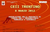 CEII TRENTINO 8 MARZO 2012 AGEVOLAZIONI DELLA PROVINCIA DI TRENTO PER LIMPRENDITORIA FEMMINILE E GIOVANILE Provincia autonoma di Trento dott. Michele Michelini.