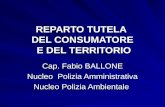 REPARTO TUTELA DEL CONSUMATORE E DEL TERRITORIO Cap. Fabio BALLONE Nucleo Polizia Amministrativa Nucleo Polizia Ambientale.
