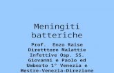 Meningiti batteriche Prof. Enzo Raise Diretttore Malattie Infettive Osp. SS. Giovanni e Paolo ed Umberto 1° Venezia e Mestre-Venezia- Direzione Dipart.