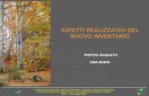 Il sistema nazionale delle statistiche forestali: situazione attuale e prospettive LInventario Nazionale delle Foreste e dei Serbatoi Forestali di Carbonio.