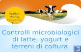 Controlli microbiologici di latte, yogurt e terreni di coltura Walter, Monia, Giovanni, Toni.