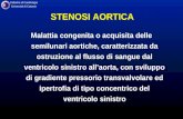 Cattedra di Cardiologia Università di Catania STENOSI AORTICA Malattia congenita o acquisita delle semilunari aortiche, caratterizzata da ostruzione al.
