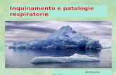 Inquinamento e patologie respiratorie Antonio Paddeu.