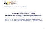 1 SEZIONE DI PSICOLOGIA PER LE ORGANIZZAZIONI Summer School AIP - 2010 sezione Psicologia per le organizzazioni BILANCIO DI UNESPERIENZA FORMATIVA BILANCIO.