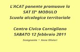 LACAT ponente promuove la SAT II° MODULO Scuola alcologica territoriale Centro Civico Cornigliano SABATO 12 febbraio 2011 Insegnante - Anna Olivieri.