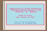 1 Esperienza di Piano Didattico Personalizzato presso lITG Guarini di Modena. Esami di Stato (per alunni con DSA) Prof.ssa Adriana Montanaro Sassuolo,