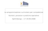 La programmazione curricolare per competenze Scenari, processi e pratiche operative Spilimbergo – 17-19.09.2008.