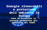 Energie rinnovabili e protezione dellambiente in Europa Come da Bruxelles si possono promuovere gli interessi del VEGAL.
