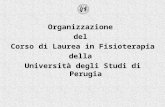Organizzazione del Corso di Laurea in Fisioterapia della Università degli Studi di Perugia.