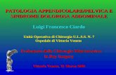 PATOLOGIA APPENDICOLARE/PELVICA E SINDROME DOLOROSA ADDOMINALE Luigi Francesco Ciardo Unità Operativa di Chirurgia U.L.S.S. N. 7 Ospedale di Vittorio Veneto.