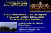 Il GIST dello stomaco. GIST des Magens: Il ruolo della resezione laparoscopica Die laparoskopische Resektion Università degli Studi di Trieste UCO di Chirurgia.