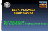 GIST:DIAGNOSI ENDOSCOPICA Prof. Fabio Farinati Dip. Scienze Chir. e Gastroenterol. Padova.