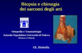Biopsia e chirurgia dei sarcomi degli arti GL Bisinella Ortopedia e Traumatologia Azienda Ospedaliera Università di Padova Direttore A Olmeda.