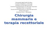 Chirurgia mammaria e terapia recettoriale Università degli Studi di Udine Facoltà di Medicina e Chirurgia Cattedra di Chirurgia Generale Scuola di specializzazione.