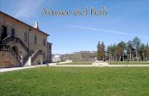 Geografia Il museo del Balì si trova nella regione delle Marche, a Saltara, in provincia di Pesaro e Urbino. Posizione di Saltara nella provincia.