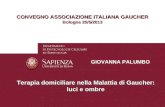CONVEGNO ASSOCIAZIONE ITALIANA GAUCHER Bologna 25/5/2013 GIOVANNA PALUMBO Terapia domiciliare nella Malattia di Gaucher: luci e ombre.