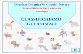 Direzione Didattica VI Circolo - Novara Scuola Primaria Pier Lombardo Lumellogno CLASSIFICHIAMO GLI ANIMALI.