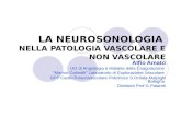 LA NEUROSONOLOGIA NELLA PATOLOGIA VASCOLARE E NON VASCOLARE Alfio Amato UO di Angiologia e Malattie della Coagulazione Marino Golinelli Laboratorio di.