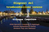 Diagnosi del tromboembolismo venoso Giuseppe Camporese Unità Operativa Complessa di Angiologia Azienda Ospedaliera di Padova Azienda Ospedaliera di Padova.