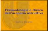 Fisiopatologia e clinica delluropatia ostruttiva Dott. L. Cindolo.